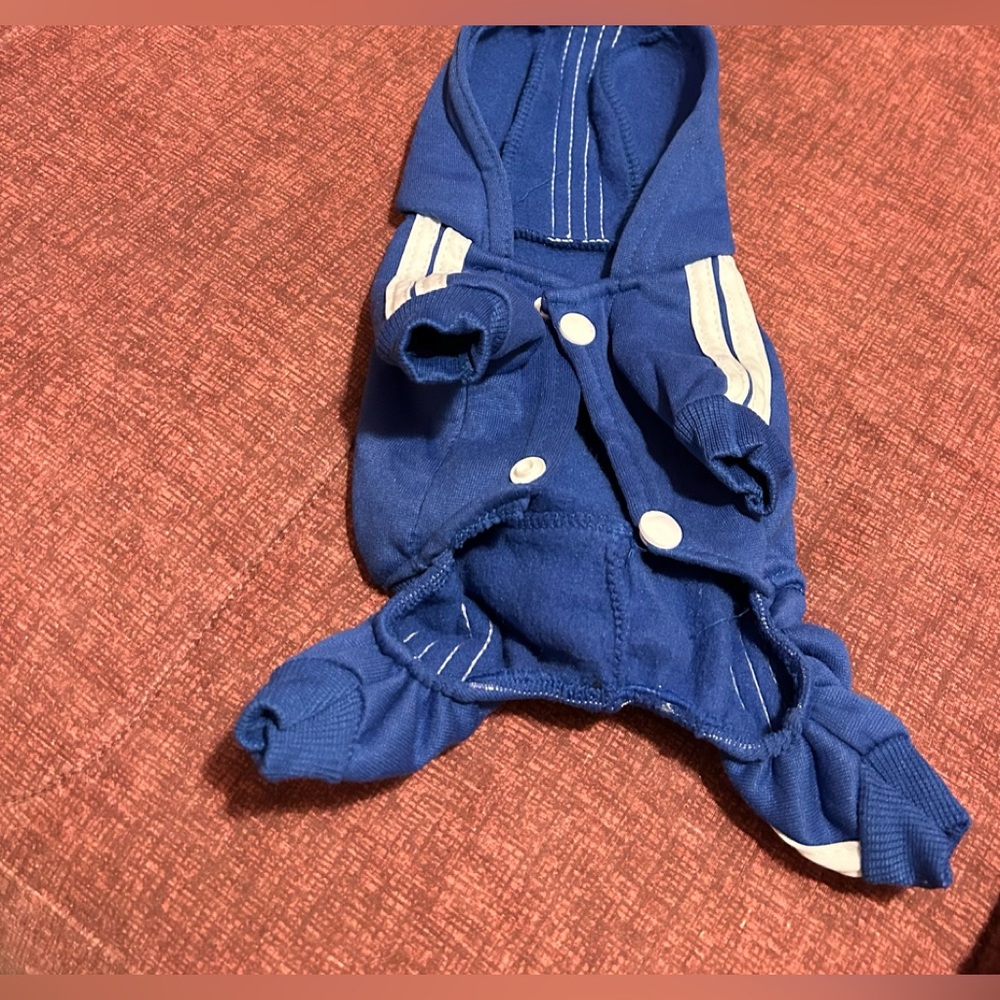 Dog Clothes